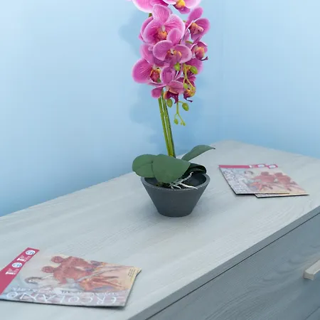 Gasthof The Brothers *